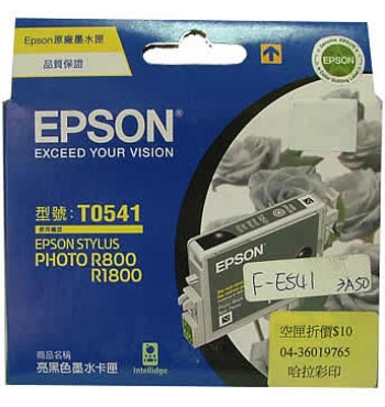 Epson T0541 Photo Black Ink Cartridge 